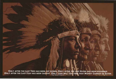 Native American Indian Quote Poster