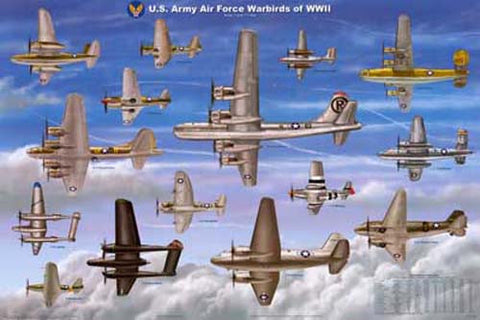 WWII Fighter Planes Poster