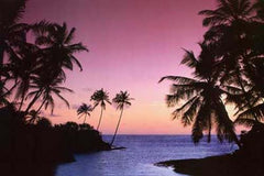 Hikkaduwa Hideaway Tropical Beach Poster 24x36 – BananaRoad