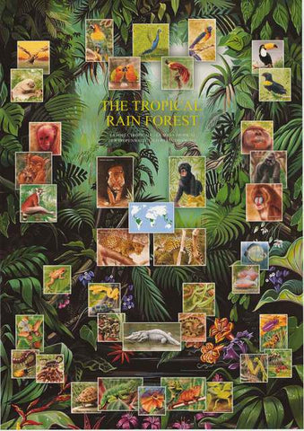 Tropical Rainforest Animals Poster