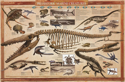 Prehistoric Marine Dinosaurs Poster