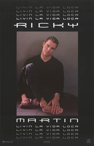 Ricky Martin Portrait Poster