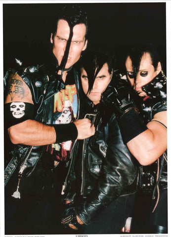 The Misfits Band Poster