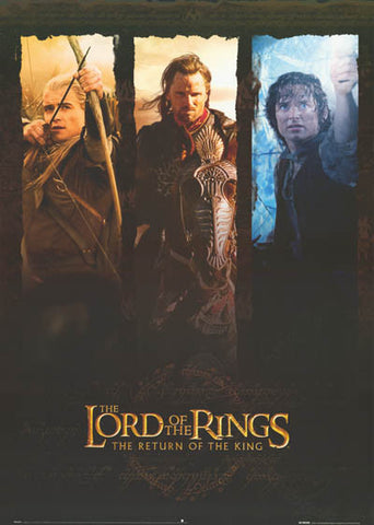 Lord of the Rings Heroes Poster