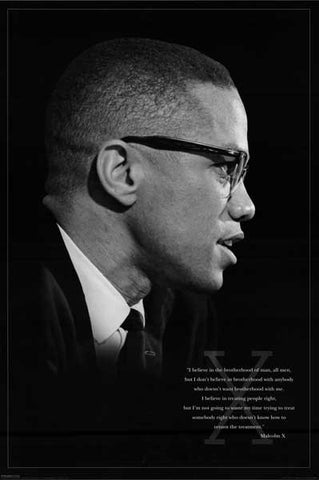 Malcolm X Quote Poster