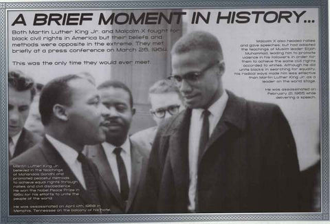 Martin Luther King Jr Malcolm X Poster
