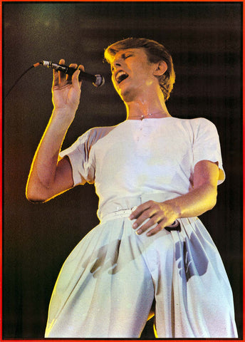 David Bowie Thin White Duke 1978 Poster 24x33