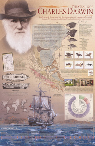 Charles Darwin Theory of Evolution Poster