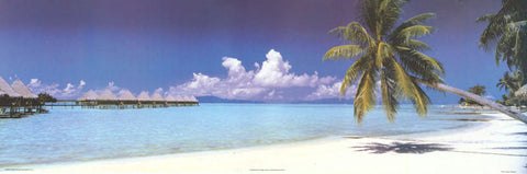 Palm Island Beach Poster