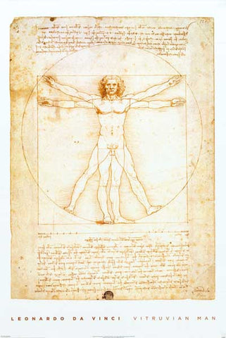 Leonardo Da Vinci Vitruvian Man Poster