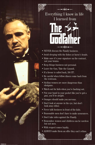 The Godfather Everything I Learned Movie Poster 