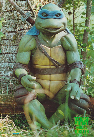Teenage Mutant Ninja Turtles Leonardo Poster 22"x32"