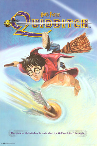 Poster: Harry Potter - Quidditch 24"x36"