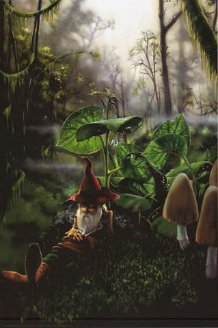 Richard Biffle Gnome Respite Poster