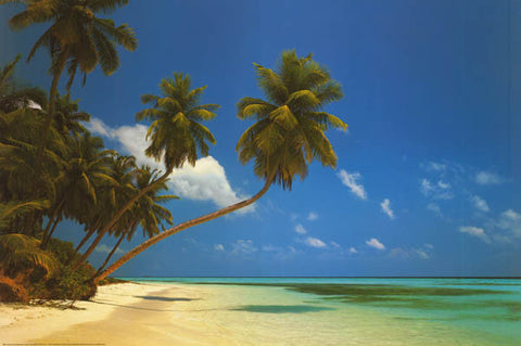 Maldives Tropical Island Beach Poster