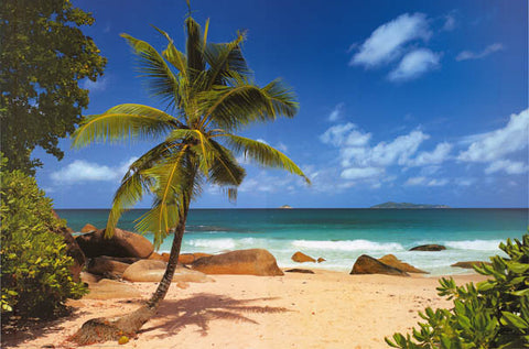 Tropical Paradise Palm Beach Poster