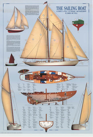 Sailboat Sailing Infographic Poster