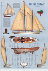 All the sailing in a poster infographic 