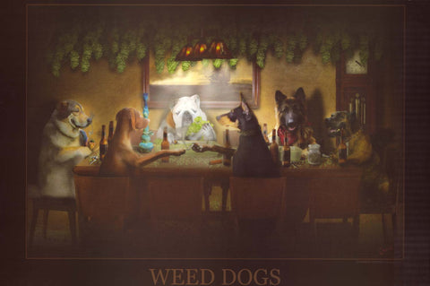 Weed Dogs - Smoking Humor Poster 24x36
