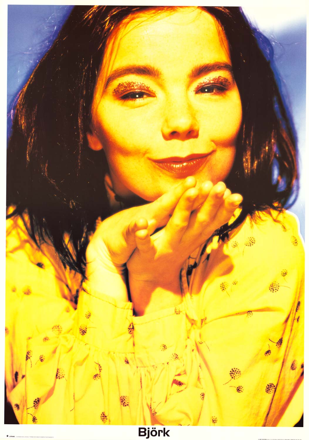 速くおよび自由な Bjork Poster (25 ミュージシャン