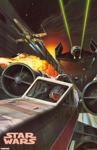 Poster: Star Wars - Death Star Trench Illustration 22x34
