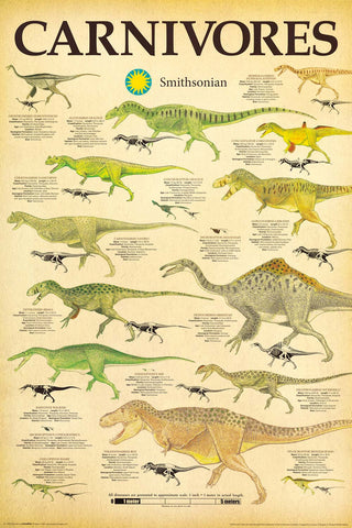 Dinosaurs Carnivores Smithsonian Institution Poster (24"x36")