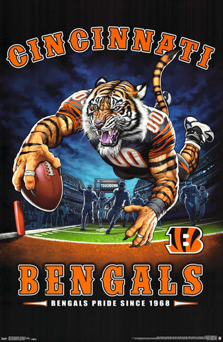 Poster: Cincinnati Bengals NFL - Endzone (